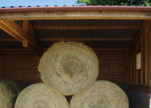 J24-3 timber farm building